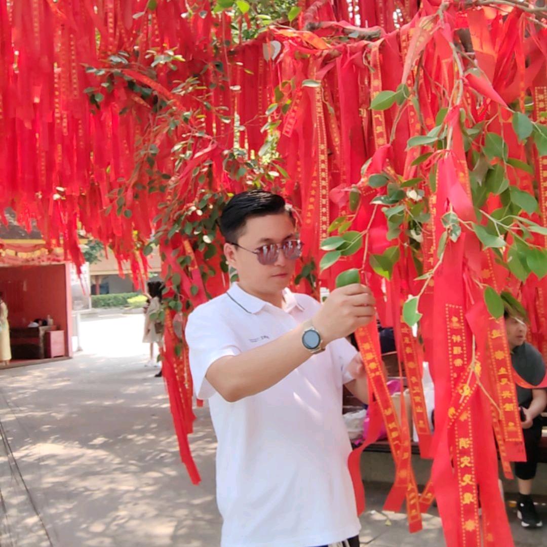 🔥阳阳得意🔥