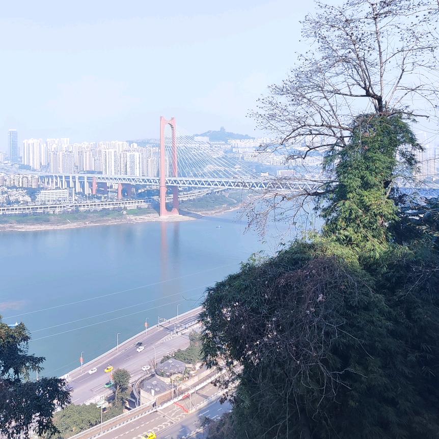 强音雅墅