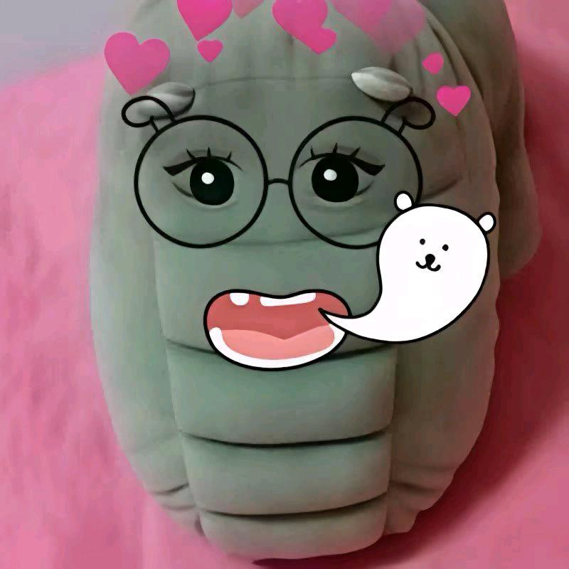 .海棠慕.爱瓜🐊