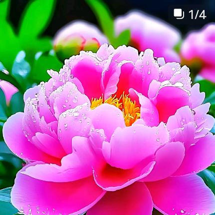 s多彩阳光，最美丰收