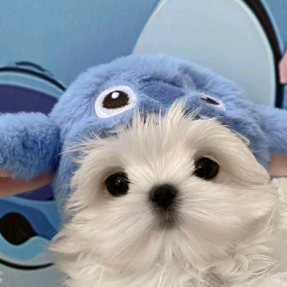 新源县绘习自习室中心（个体工商户）