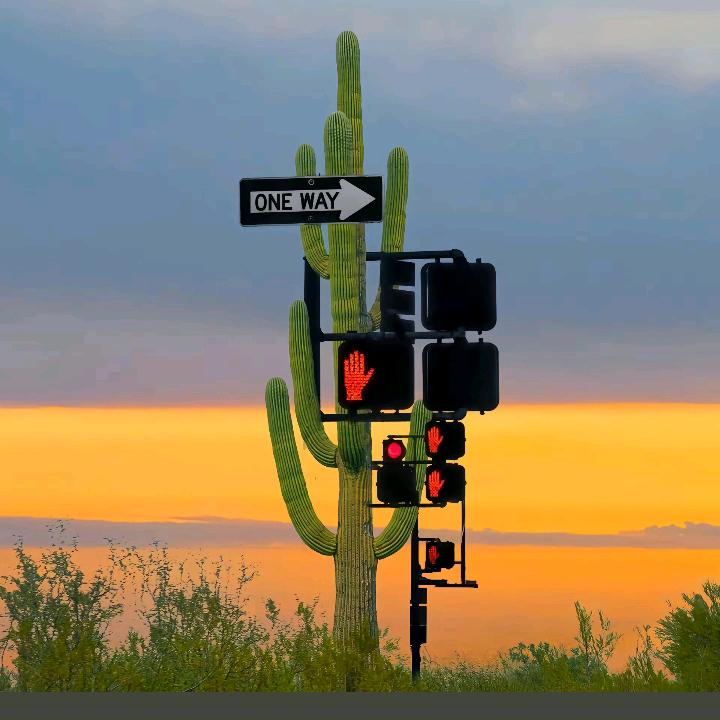 大一菲诗, 嗰✨体茴关