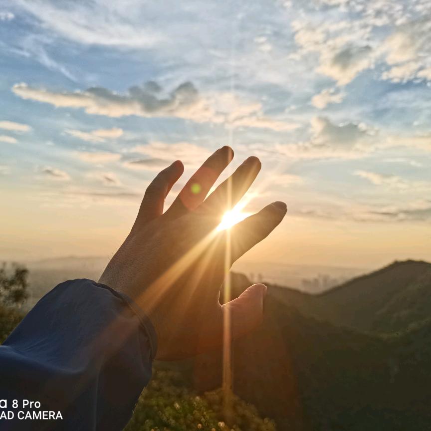 松散的布鲁斯南