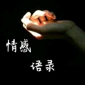 情感语录