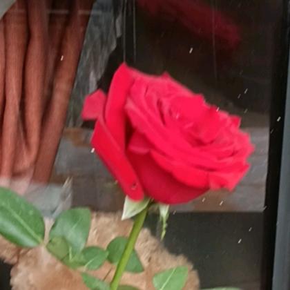 天天开心😁😁