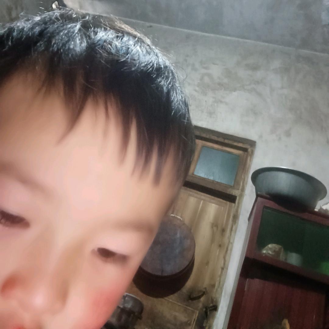 运营中（煤二哥）