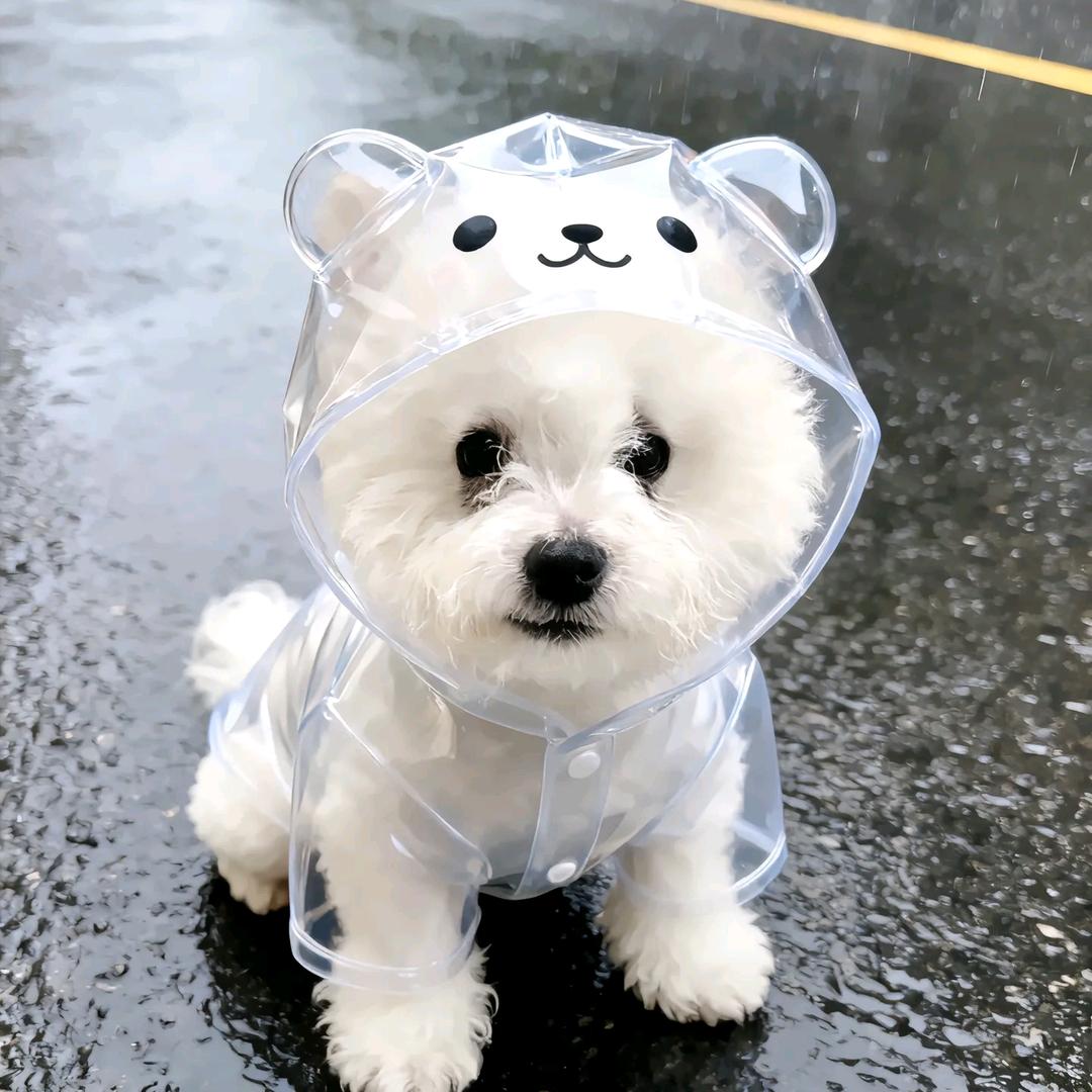 睡个懒觉叭😍