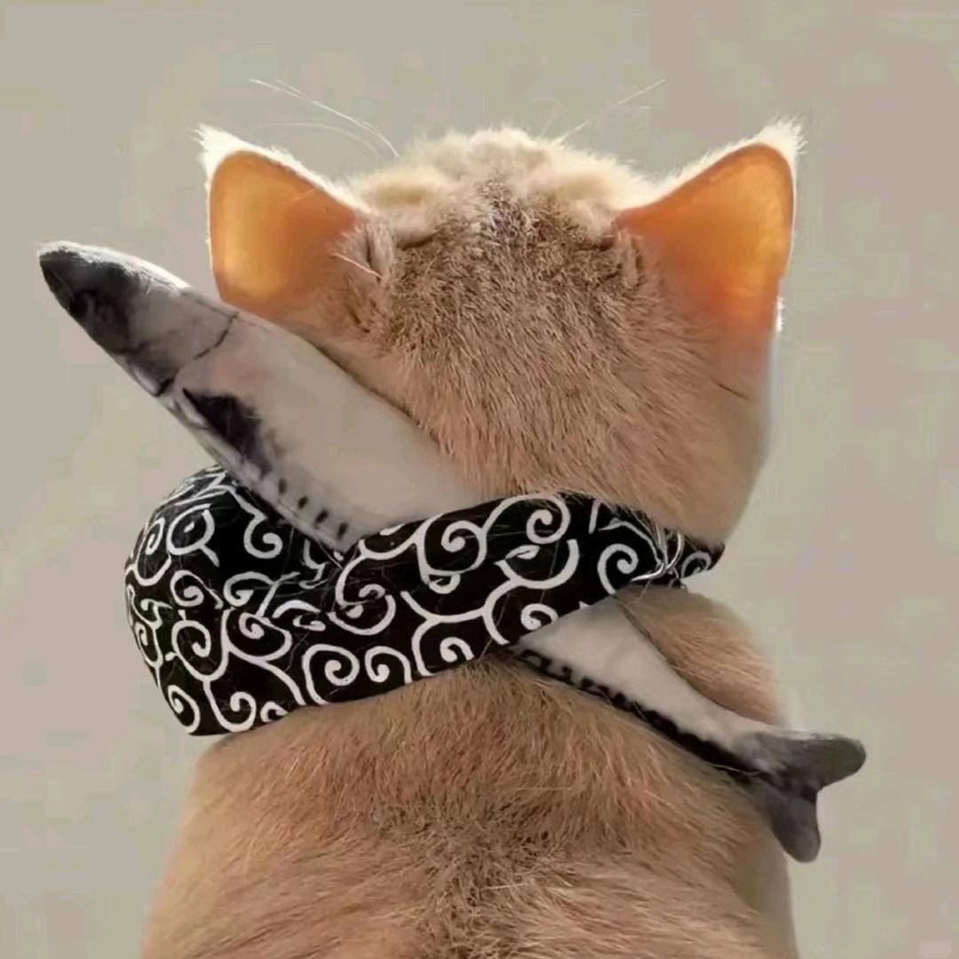 ོ苏ᴹᵘ☾⋆
