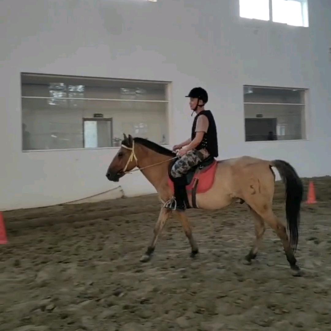 木子的心灵农场#民宿