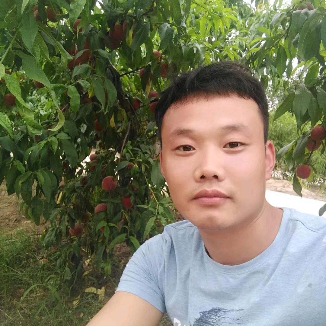 寂寞沾染繁华