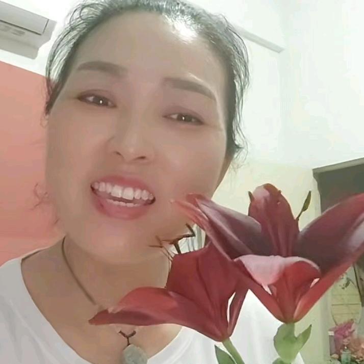 情系家人