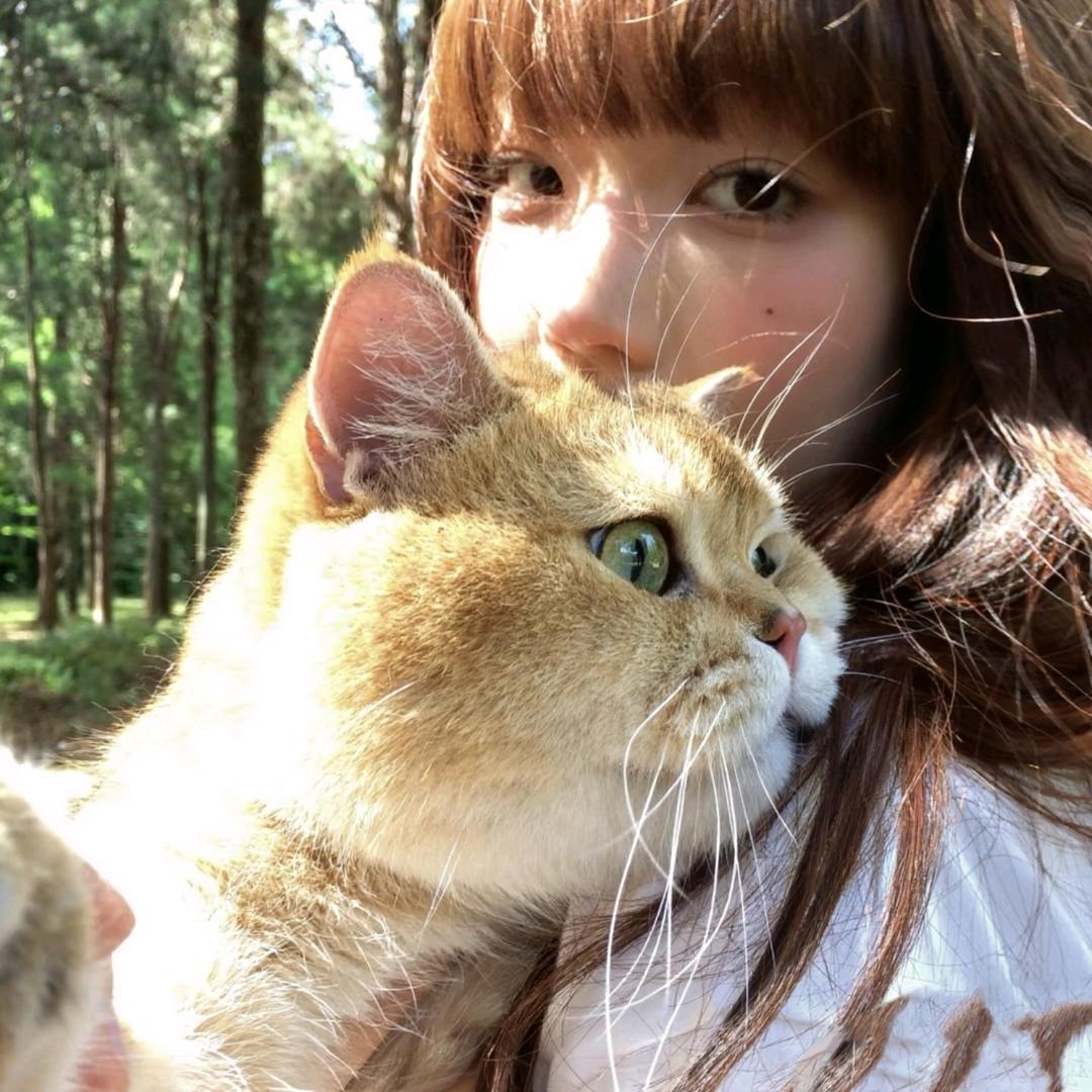 香葱肉松卷大王