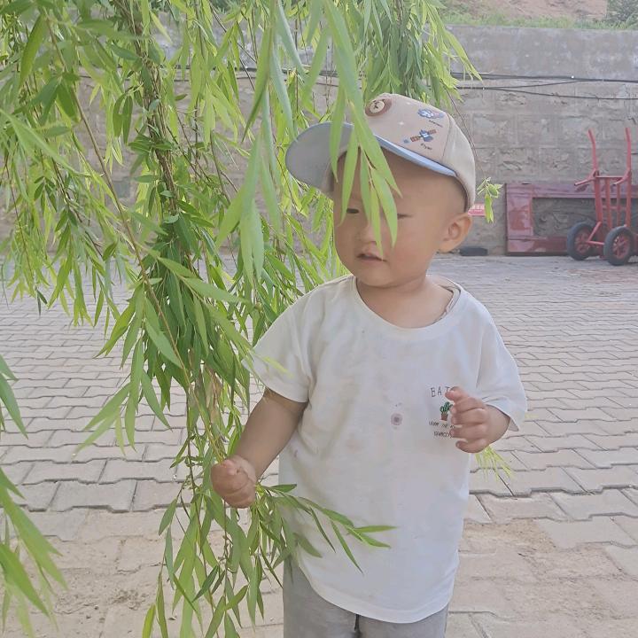 用户1434348982811