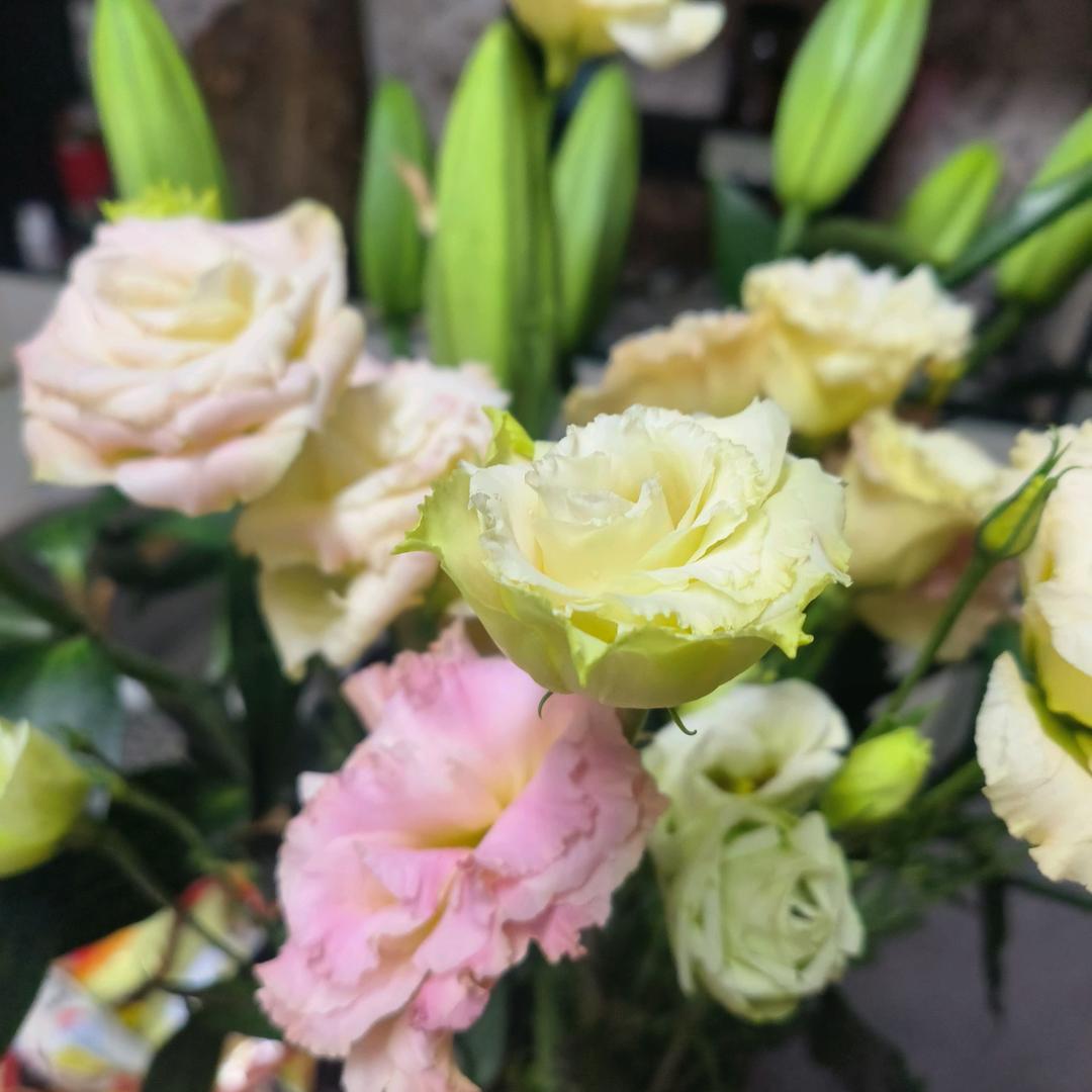 没有方向的80后女人