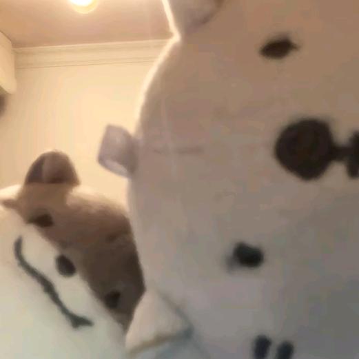 放假我求你