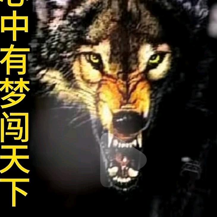 低调大吉大利