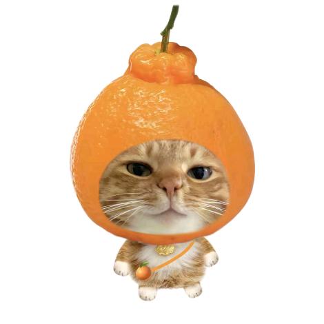 小羊^