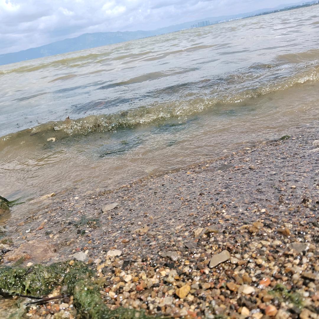 张炳杰头像
