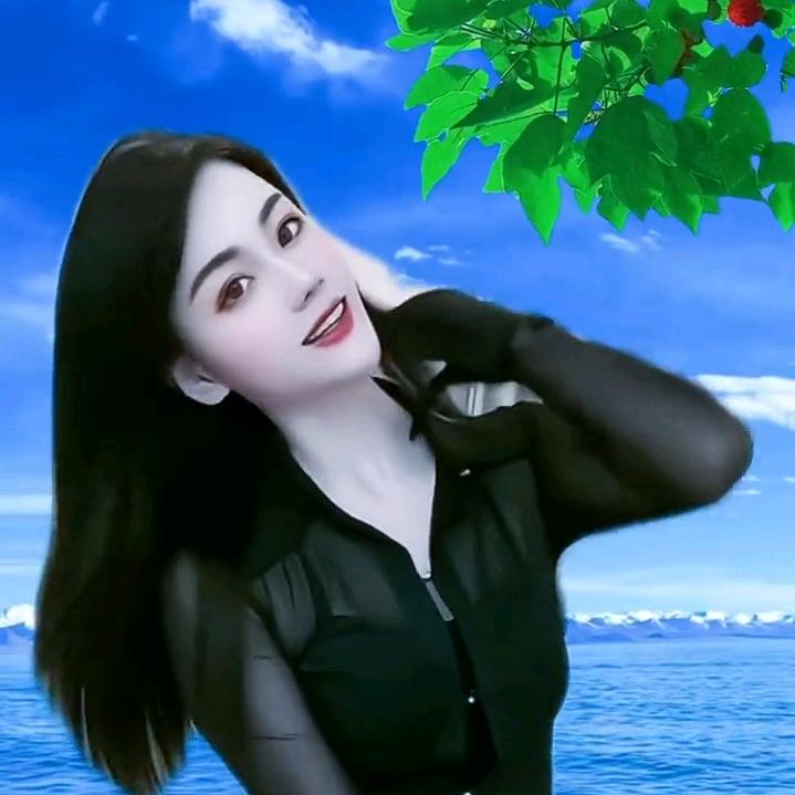 梦想之城c