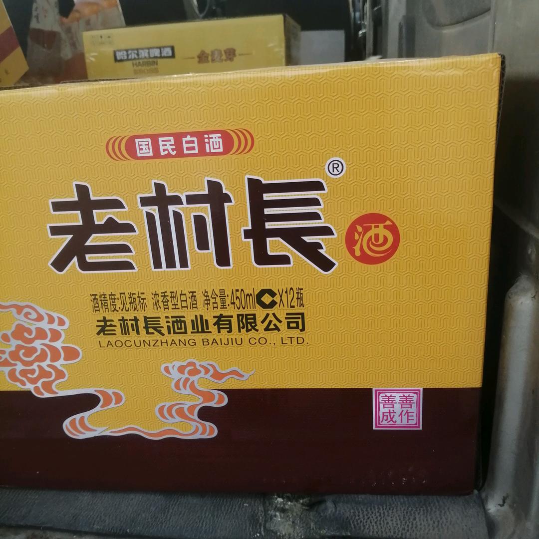 聂风聂风