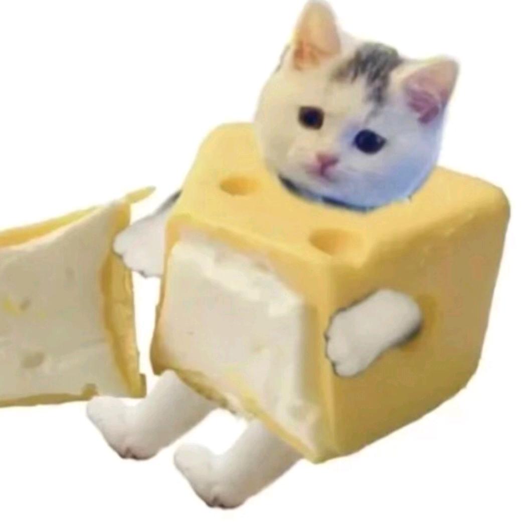 一口一个宋芽芽