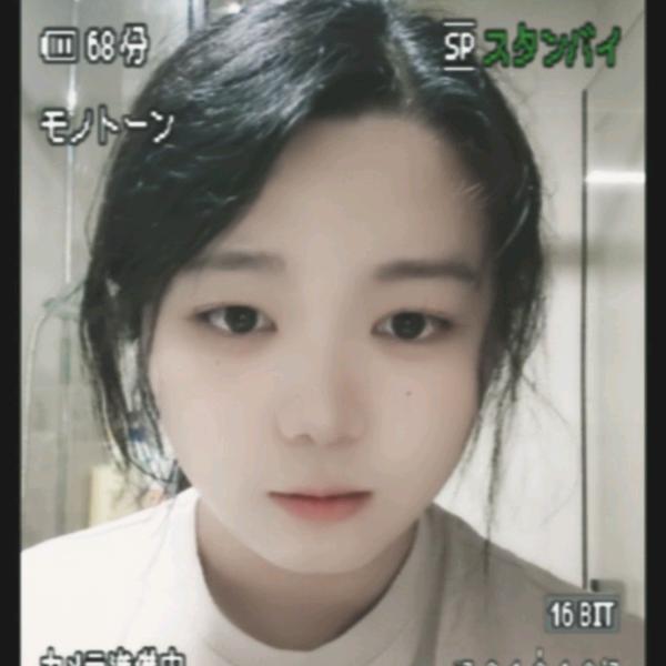 小小落叶（最正经版）