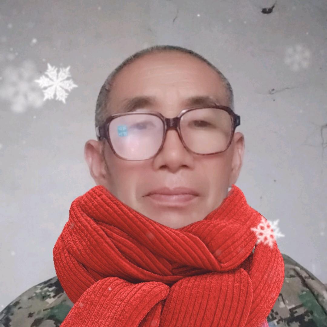 王朝林
