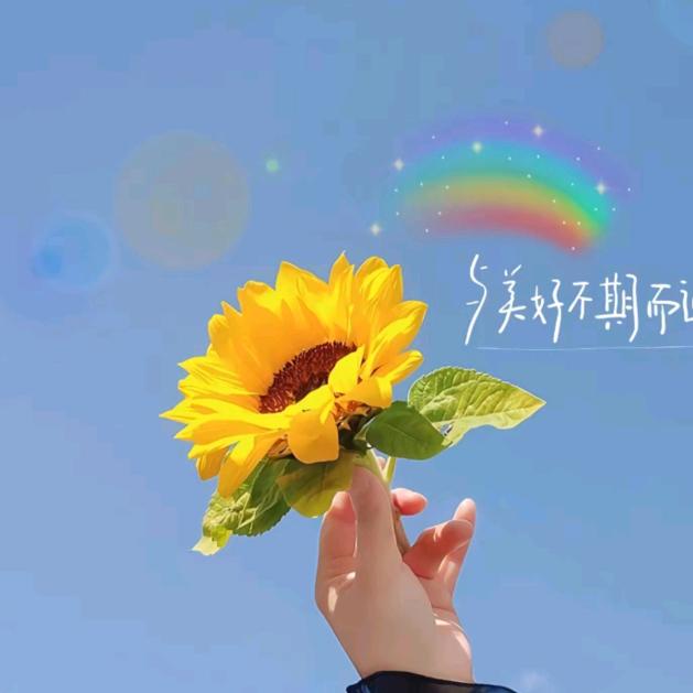 烟圈