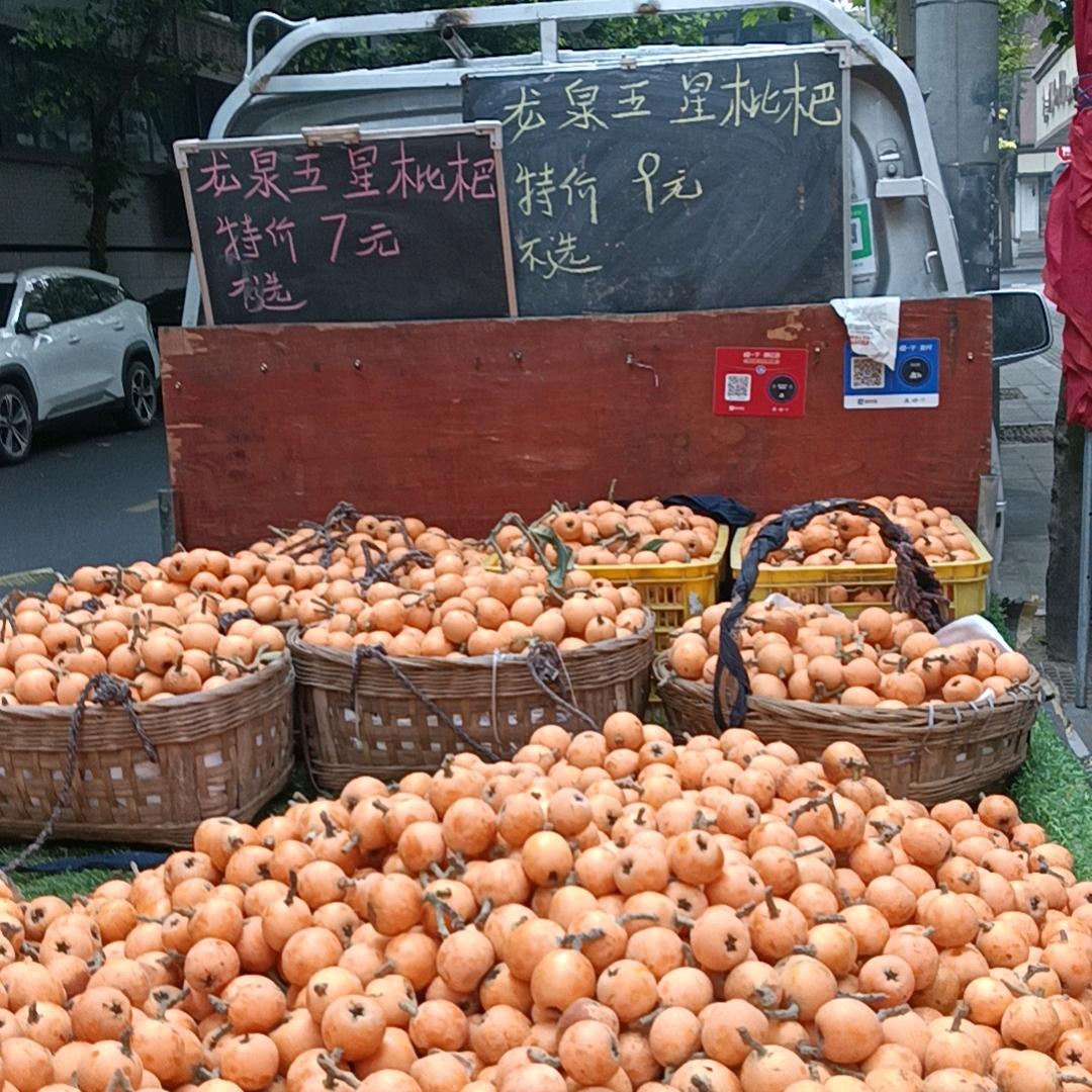 何向南