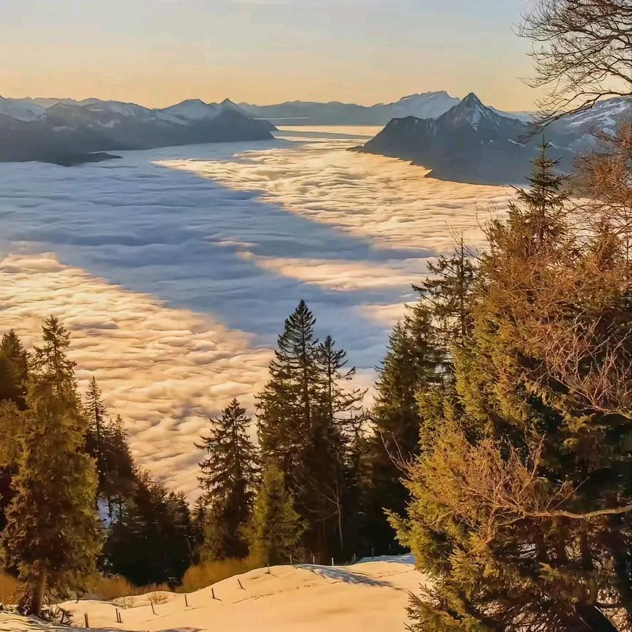 缝纫魔法师·老马