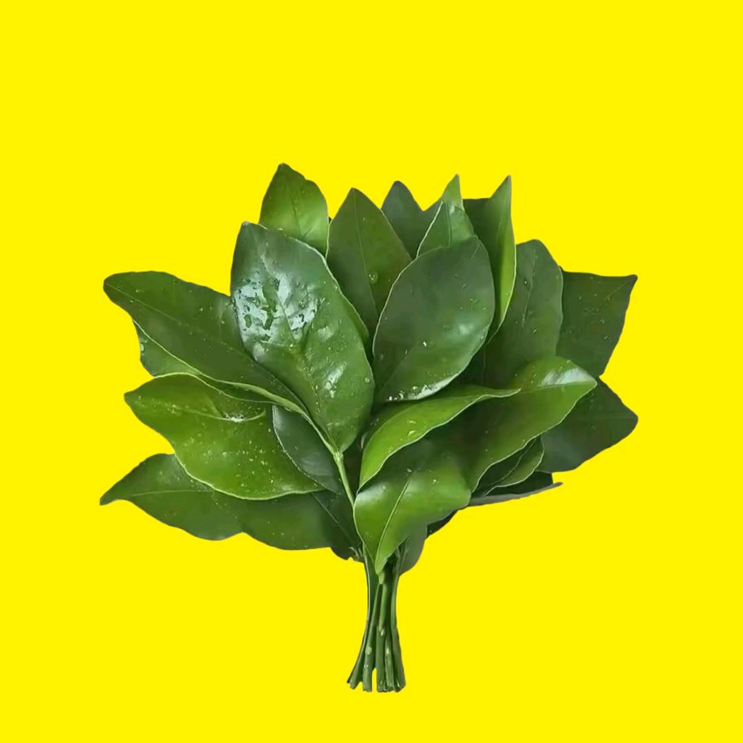 周昱廷
