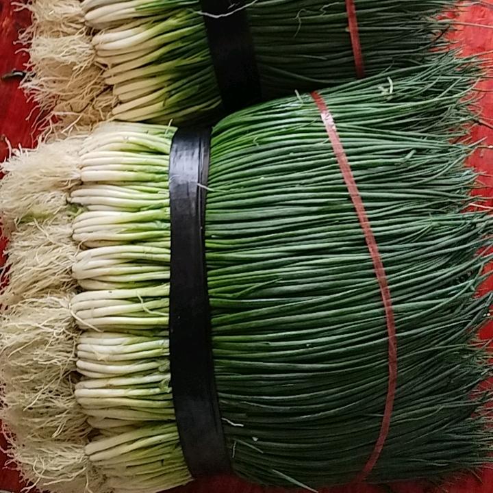 葱花小王子批发葱花，蔬菜