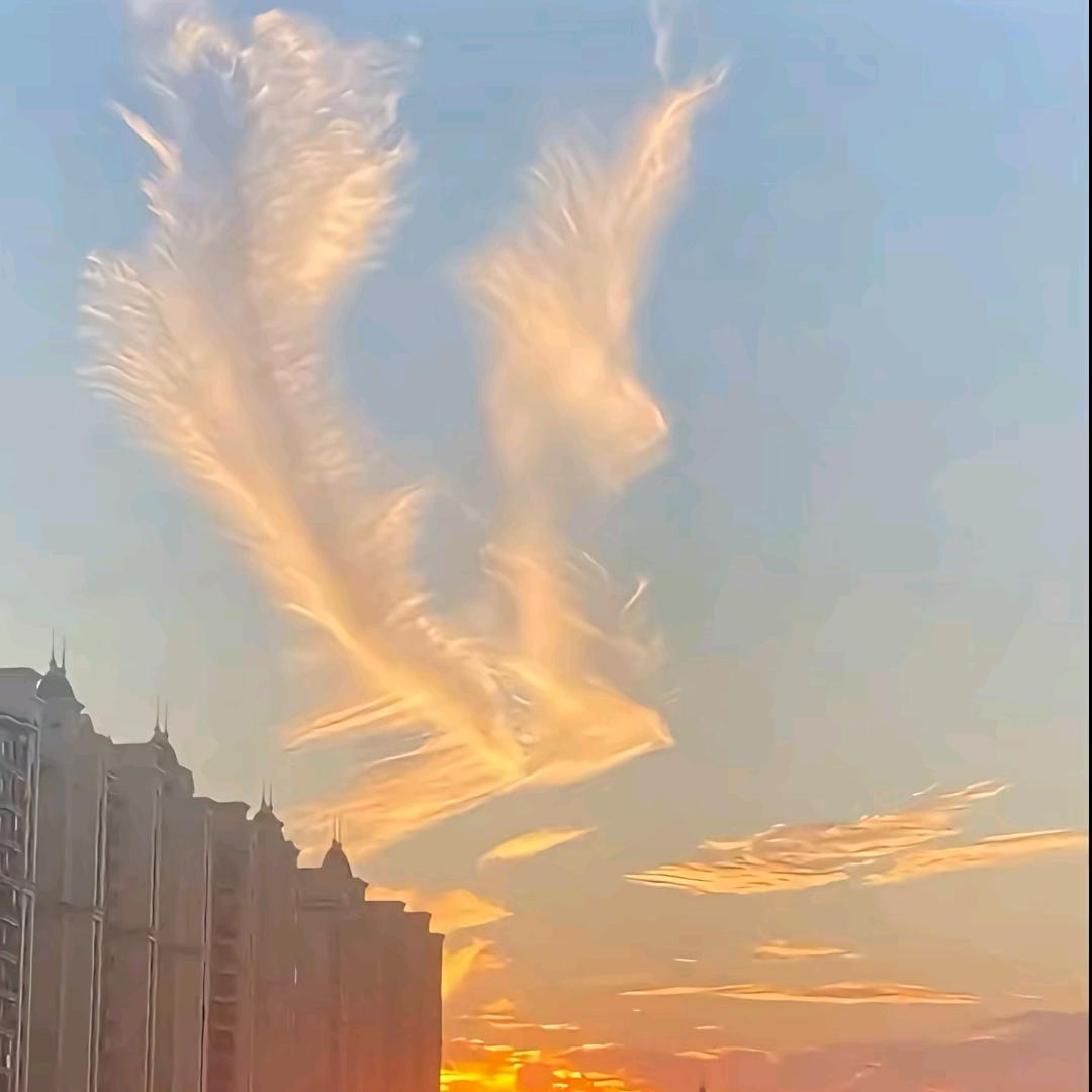 夜空中最亮的星