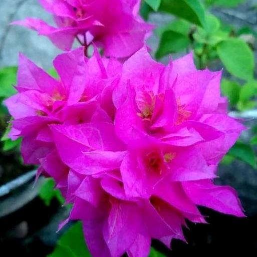 开心快乐每一天😊