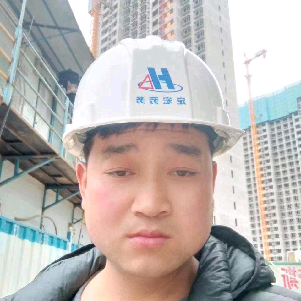 年年有鱼