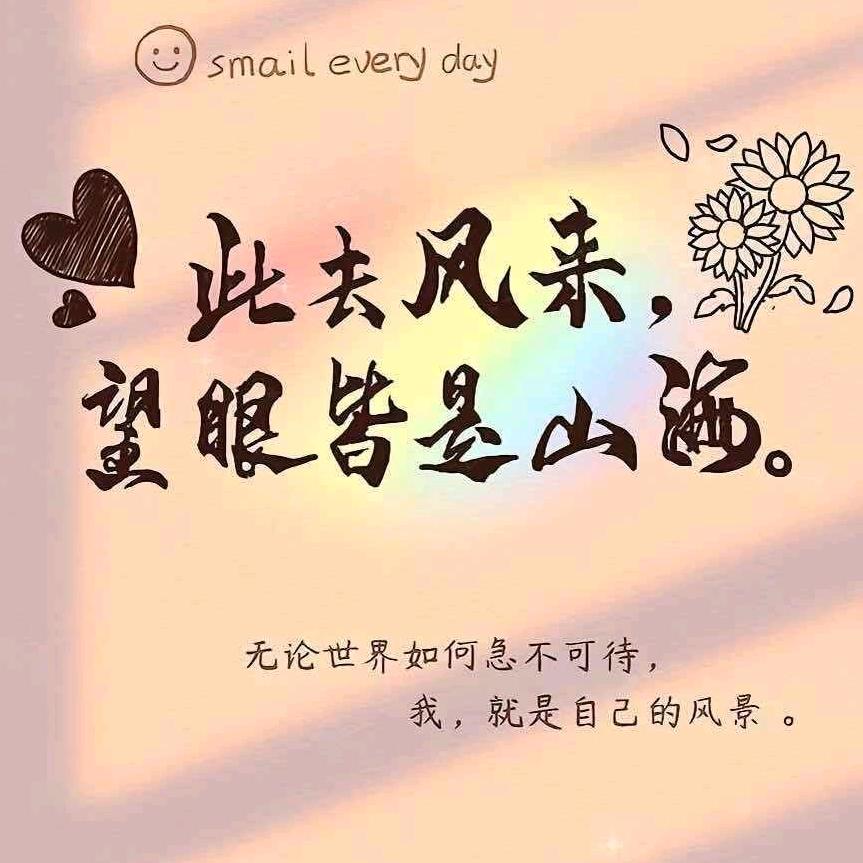 万通菲选平板壳