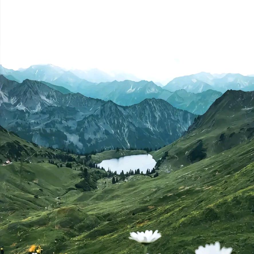 留得浮生半日闲