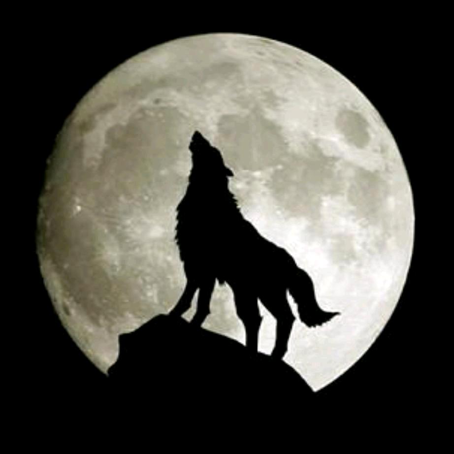 🍷🍷🍷醉饮南港清风酒🦞🦞🦞