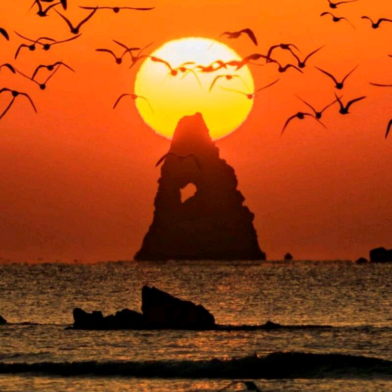 传哥