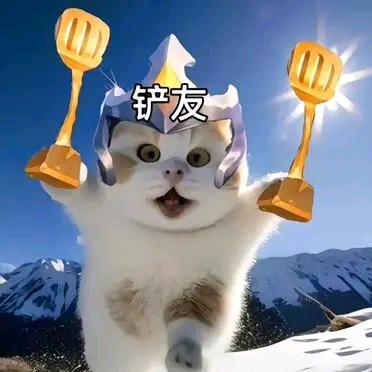 铲批一枚