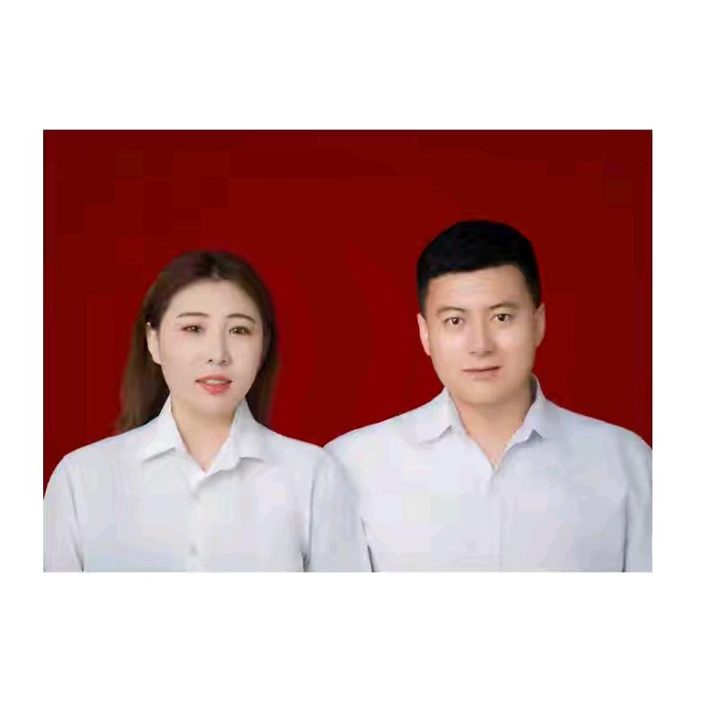 一只长颈鹿
