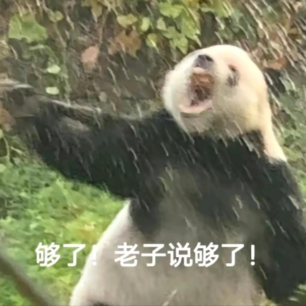专治恋爱创伤科晨主任