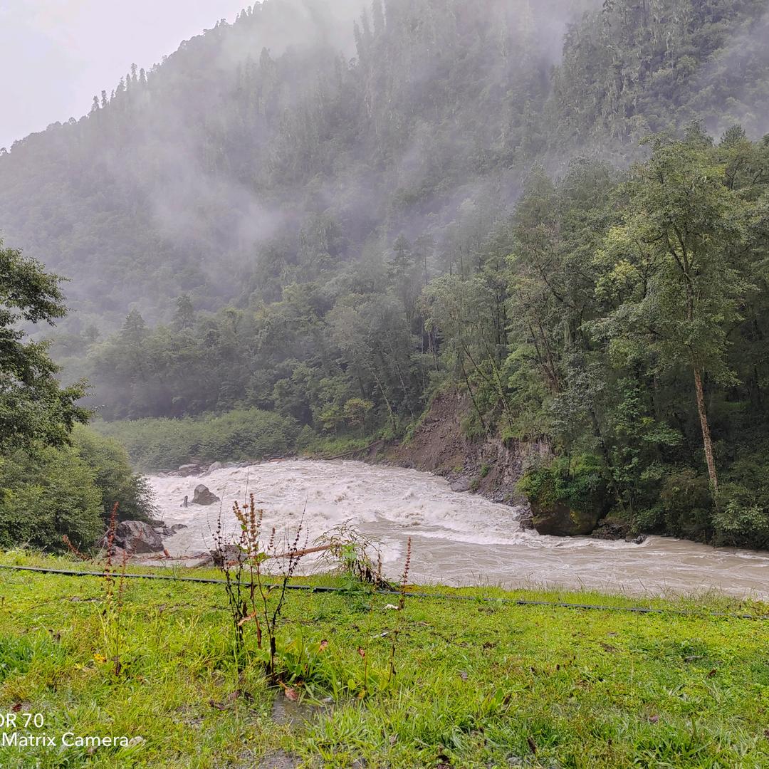 万顺洒业，老冯玩烟酒。⚽️