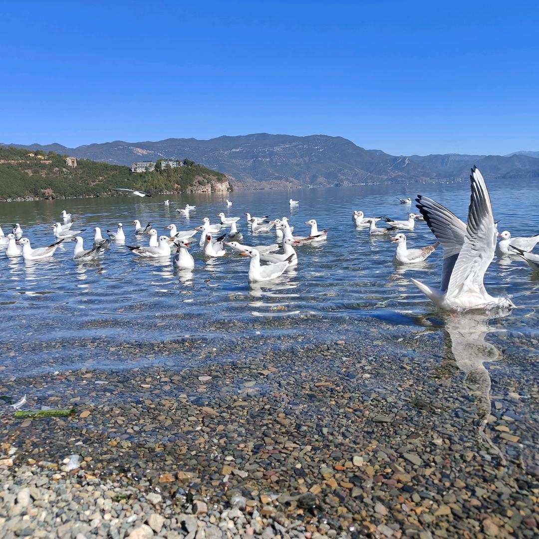 小布云南定制师