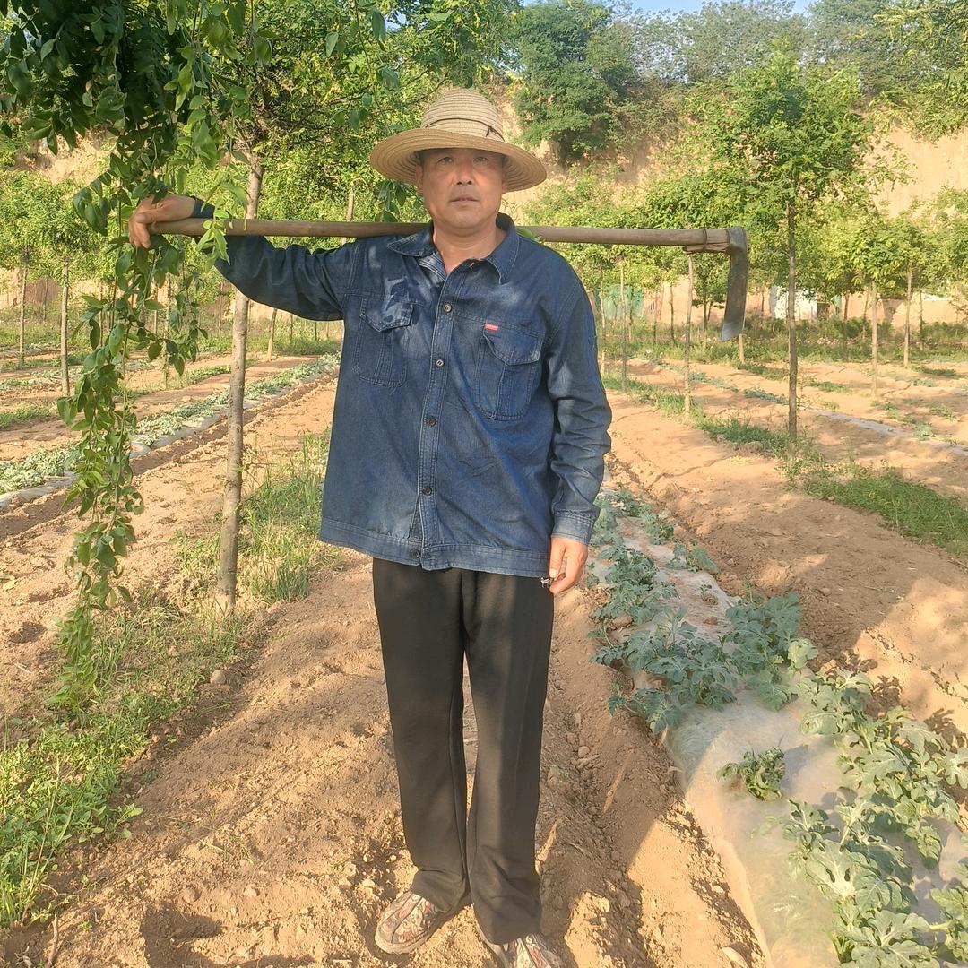 宝鸡庄稼人（小号）