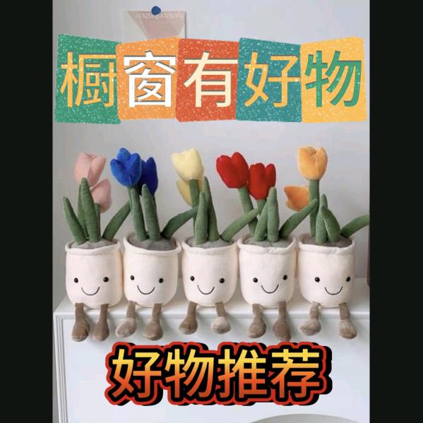 想买的都在橱窗里