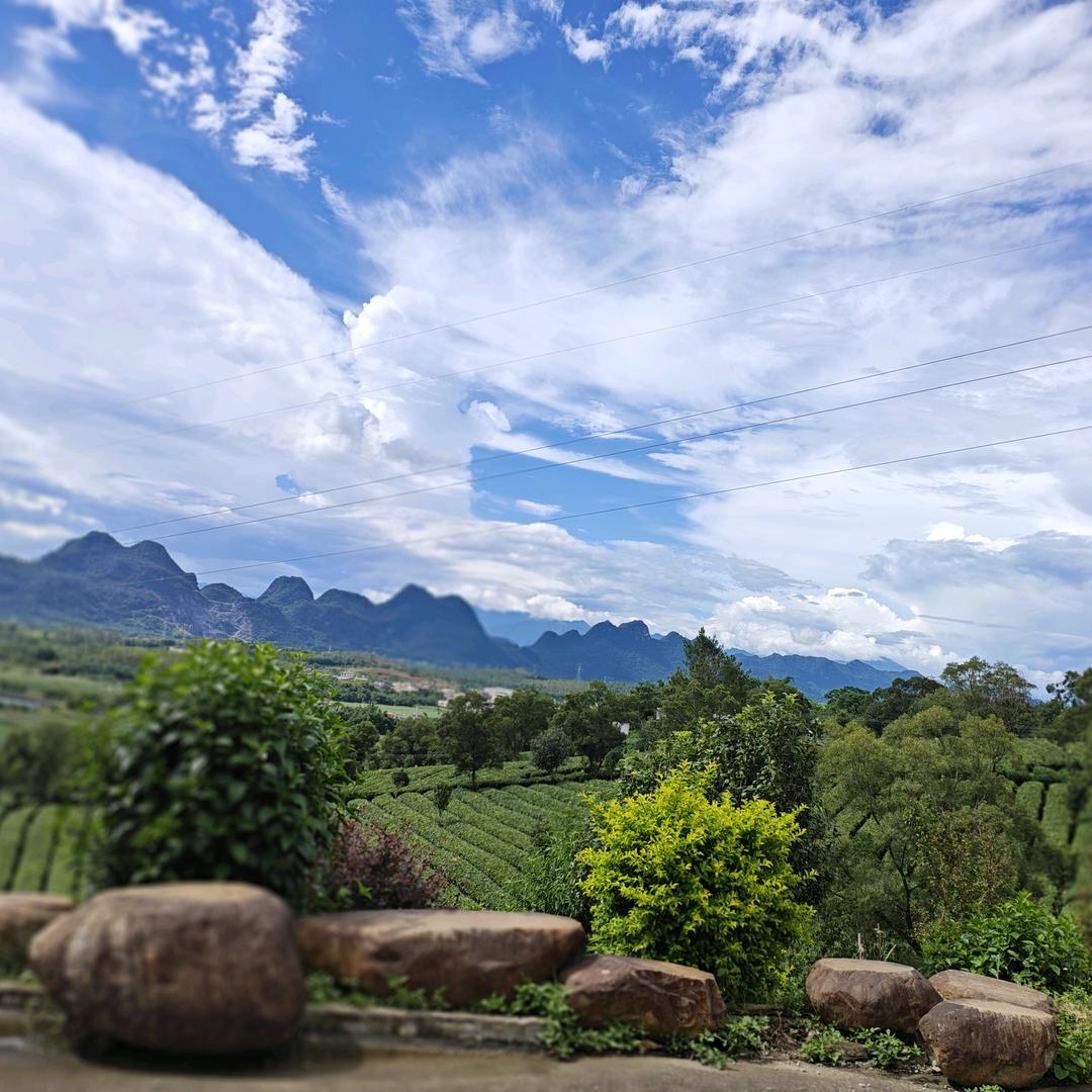 中国红茶之乡英九主理人