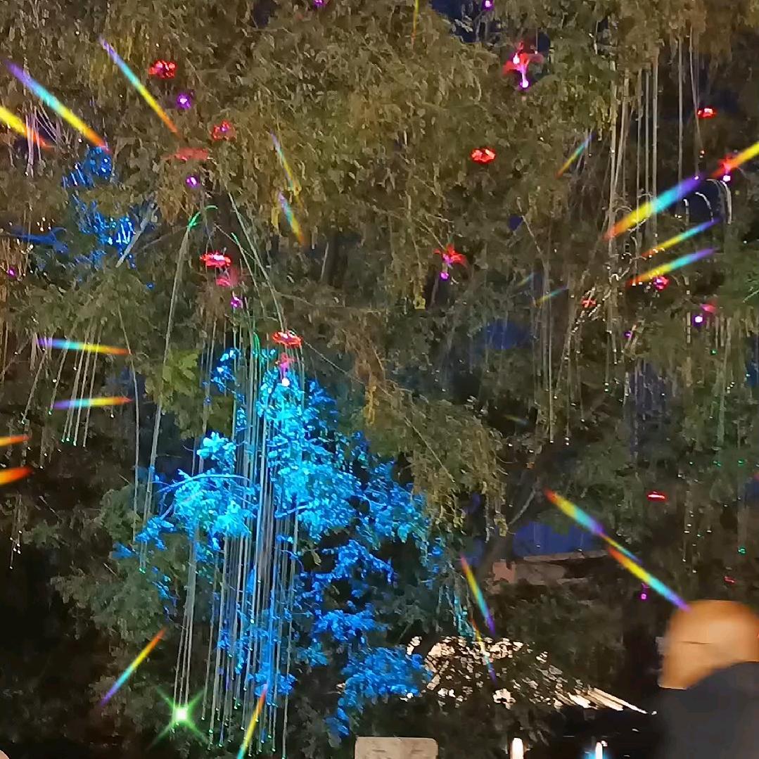 情😇情🐢情🐐🐐