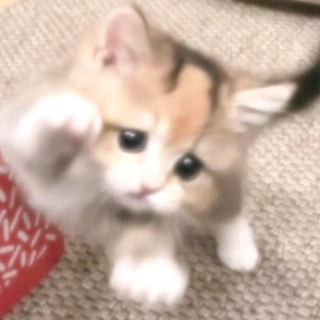 沦眠季