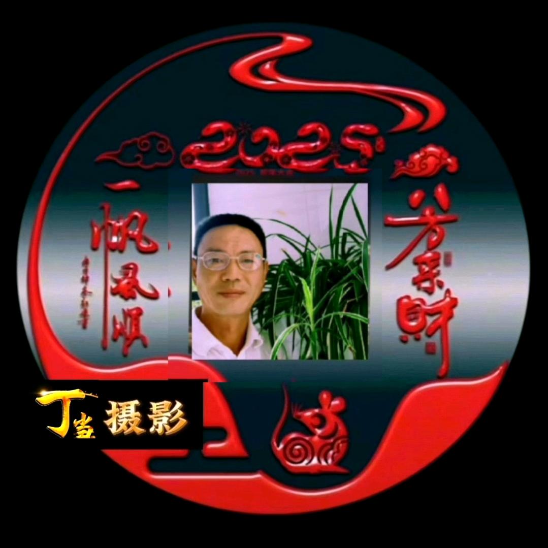 丁当摄影